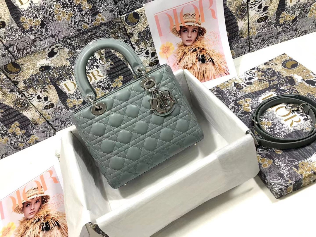 lady D*or handle bag-24cm