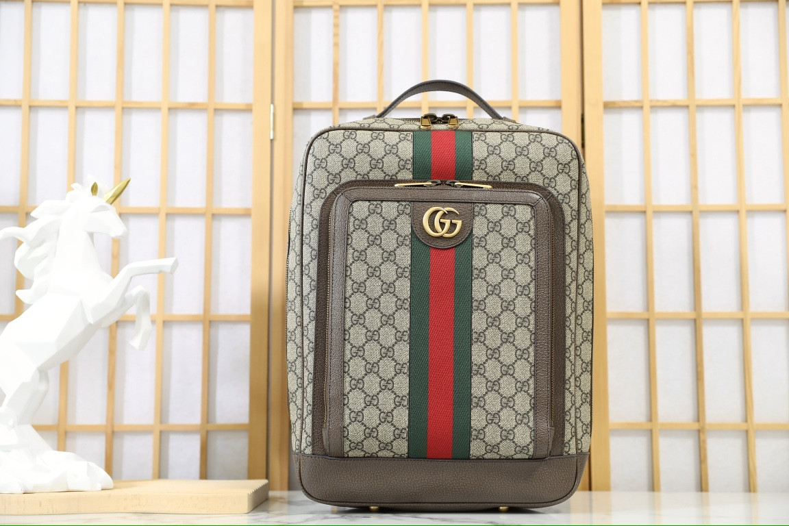G*u*i ophidia backpack-30*40*14cm