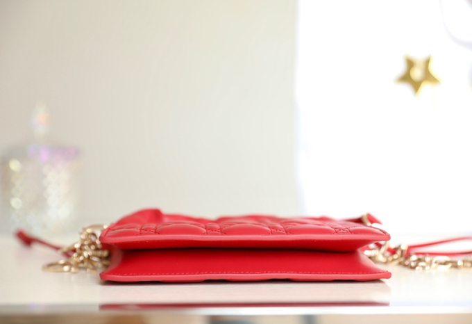 lady D*or bag-19 x 13 x 5cm