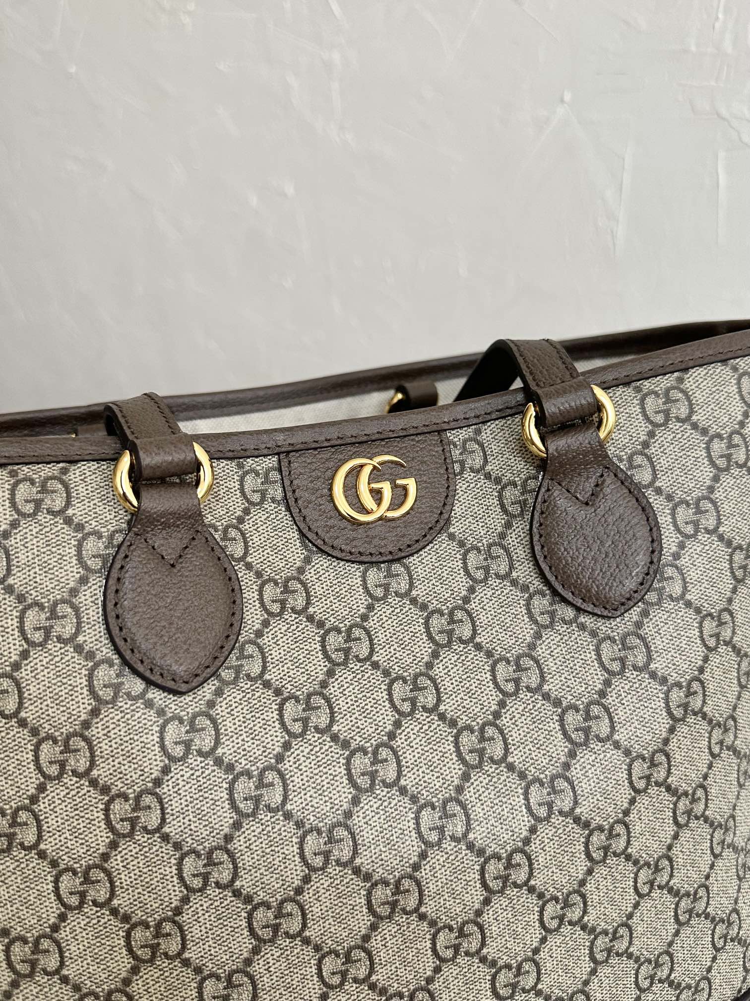 G*u*i ophidia bag-31×25×13cm