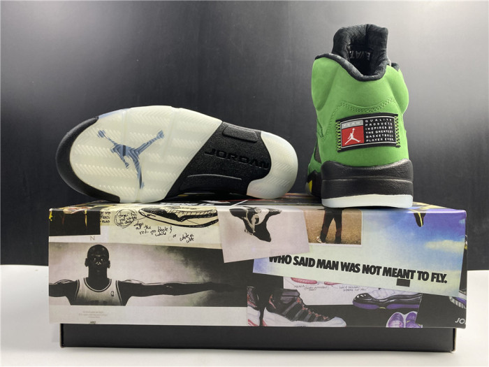 Air Jordan 5 SE “Oregon Ducks” CK6631-307
