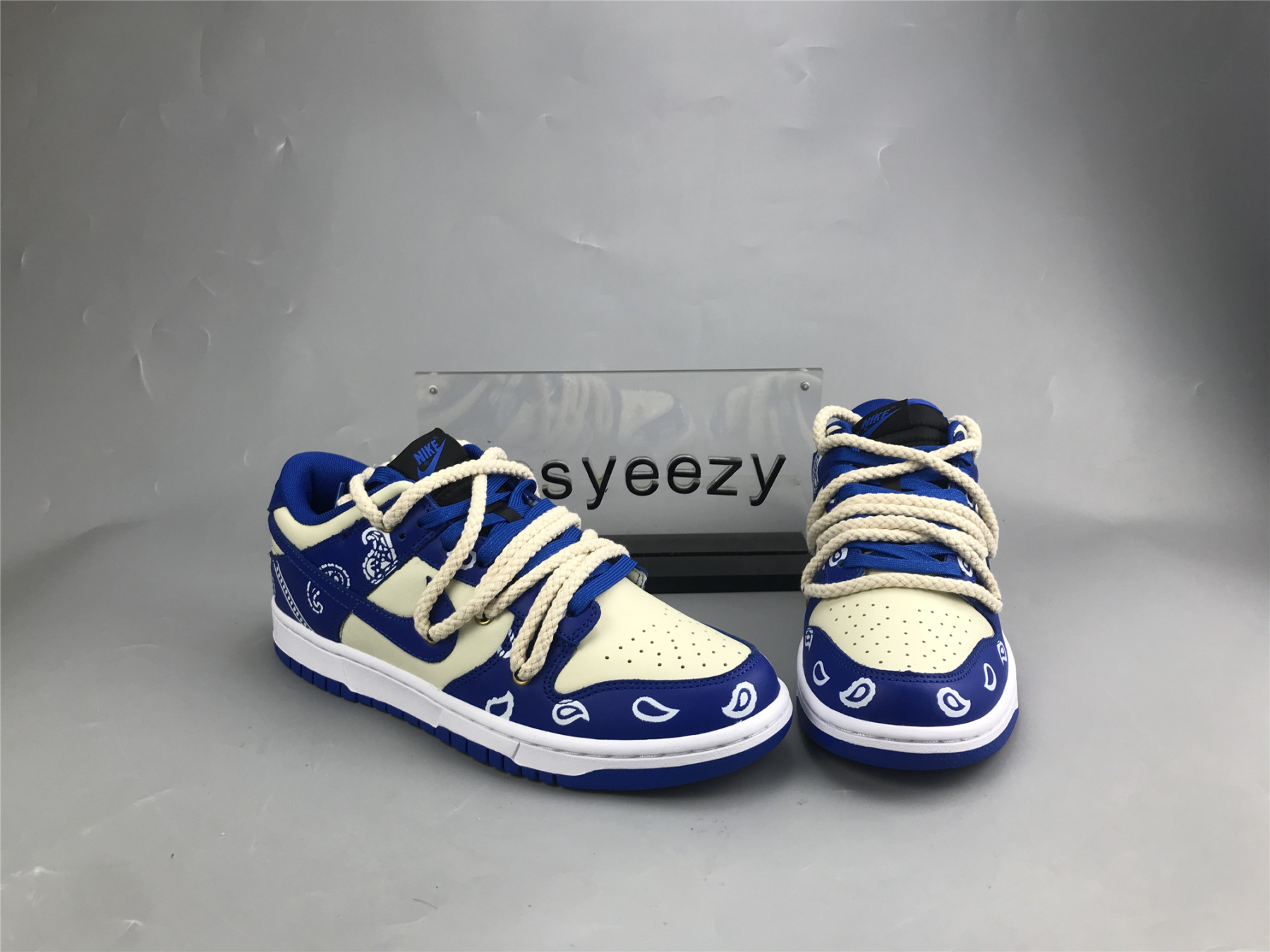 UA NIKE DUNK LOW 