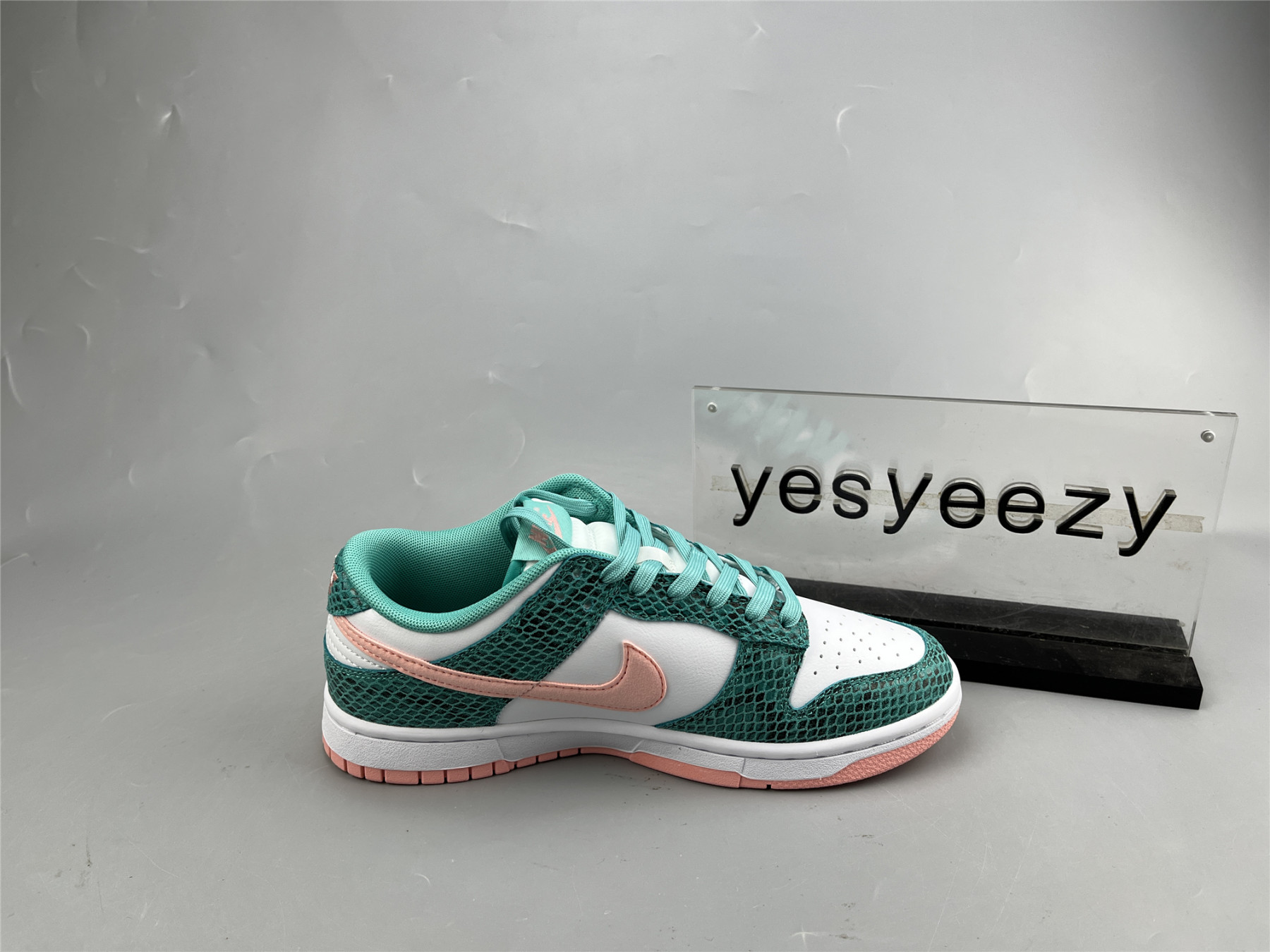 UA NIKE DUNK LOW 