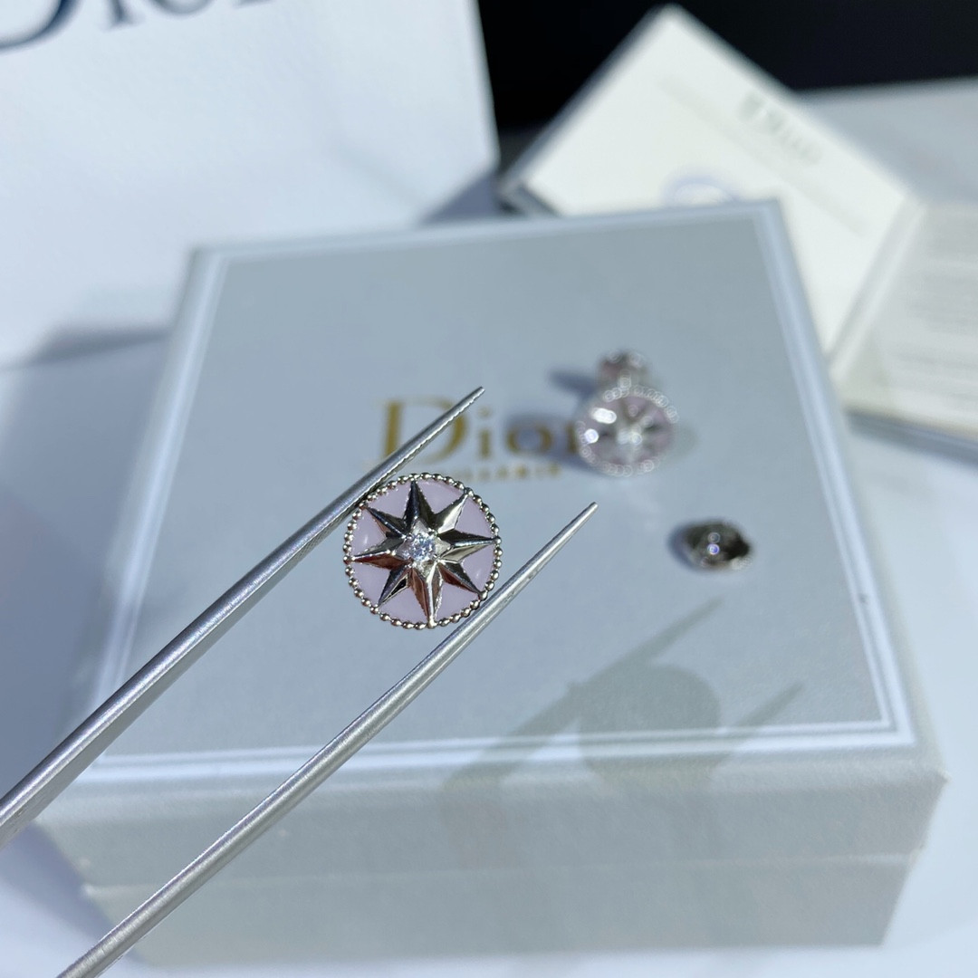D10r compass Stud Earrings