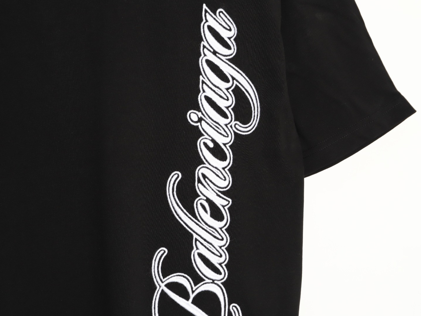 Ba1en*iaga short-sleeved t-shirt