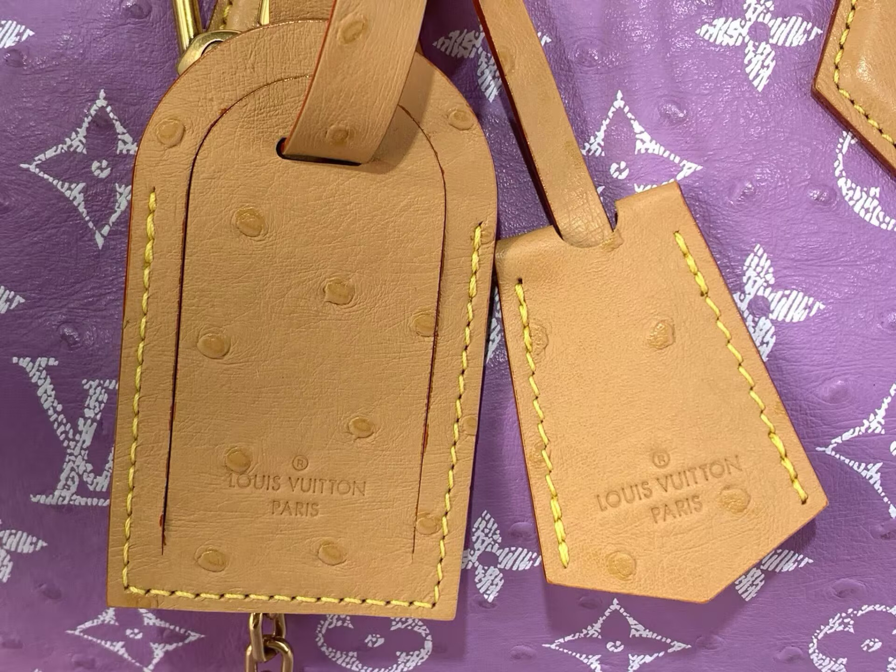 LV Speedy P9 Bandoulière 30 N89790 30x17x21cm