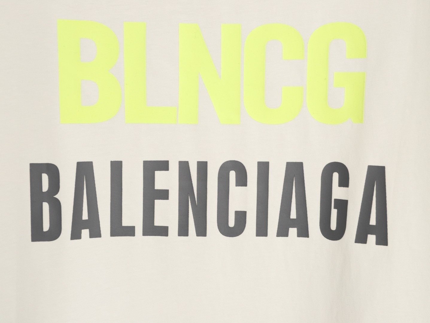 Ba1en*iaga short-sleeved t-shirt