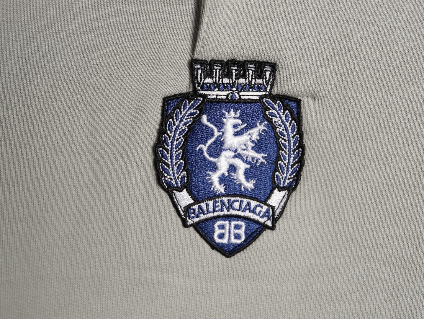 Ba1en*iaga 26ss hoodies