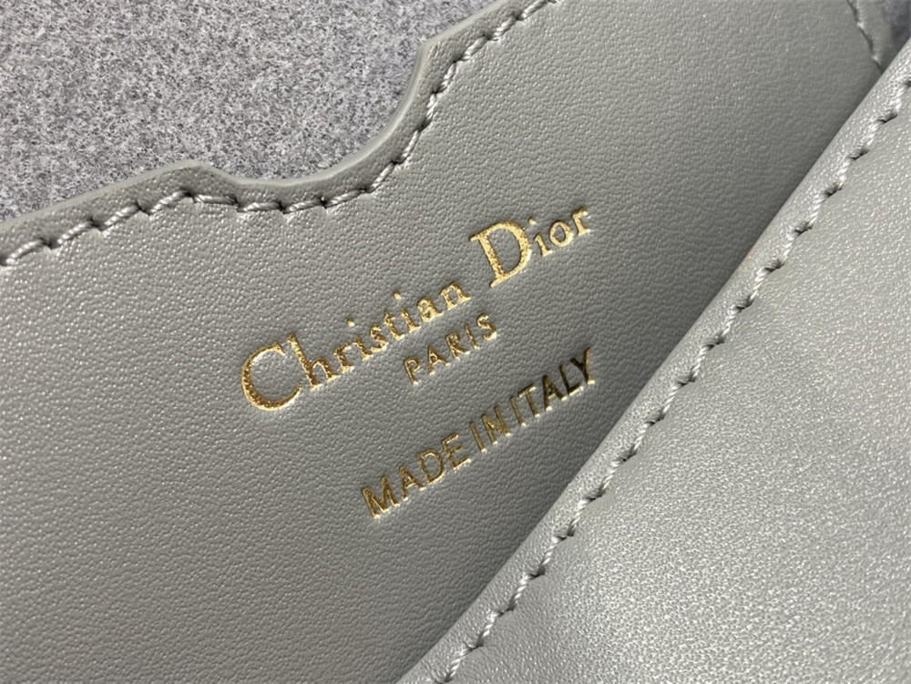 D10r BOBBY EAST-WEST BAG Latte Box Calfskin Grey
