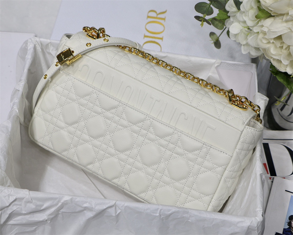 SMALL D10r CARO BAG Ivory S*pple Cannage Calfskin 20 x 12 x 7 cm
