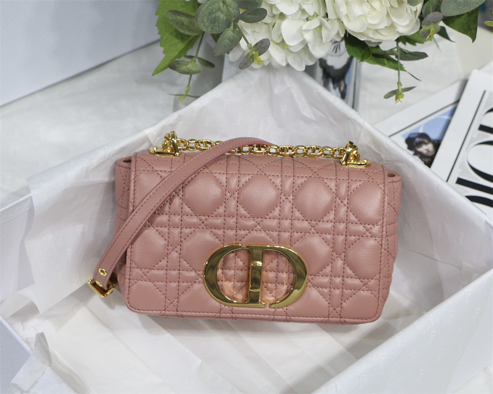SMALL D10r CARO BAG PINK S*pple Cannage Calfskin With Silver Hardware 20 x 12 x 7 cm