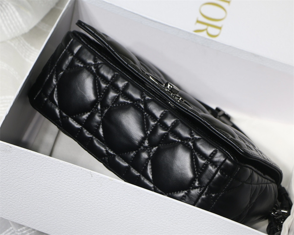 MEDIUM D10r CARO BAG S*pple Cannage Calfskin 25.5 x 15.5 x 8 cm