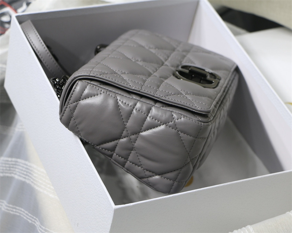 MEDIUM D10r CARO BAG Grey S*pple Cannage Calfskin With Silver Hardware 25.5 x 15.5 x 8 cm