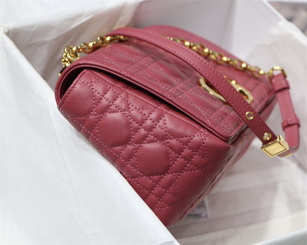 MEDIUM D10r CARO BAG S*pple Cannage Calfskin 25.5 x 15.5 x 8 cm