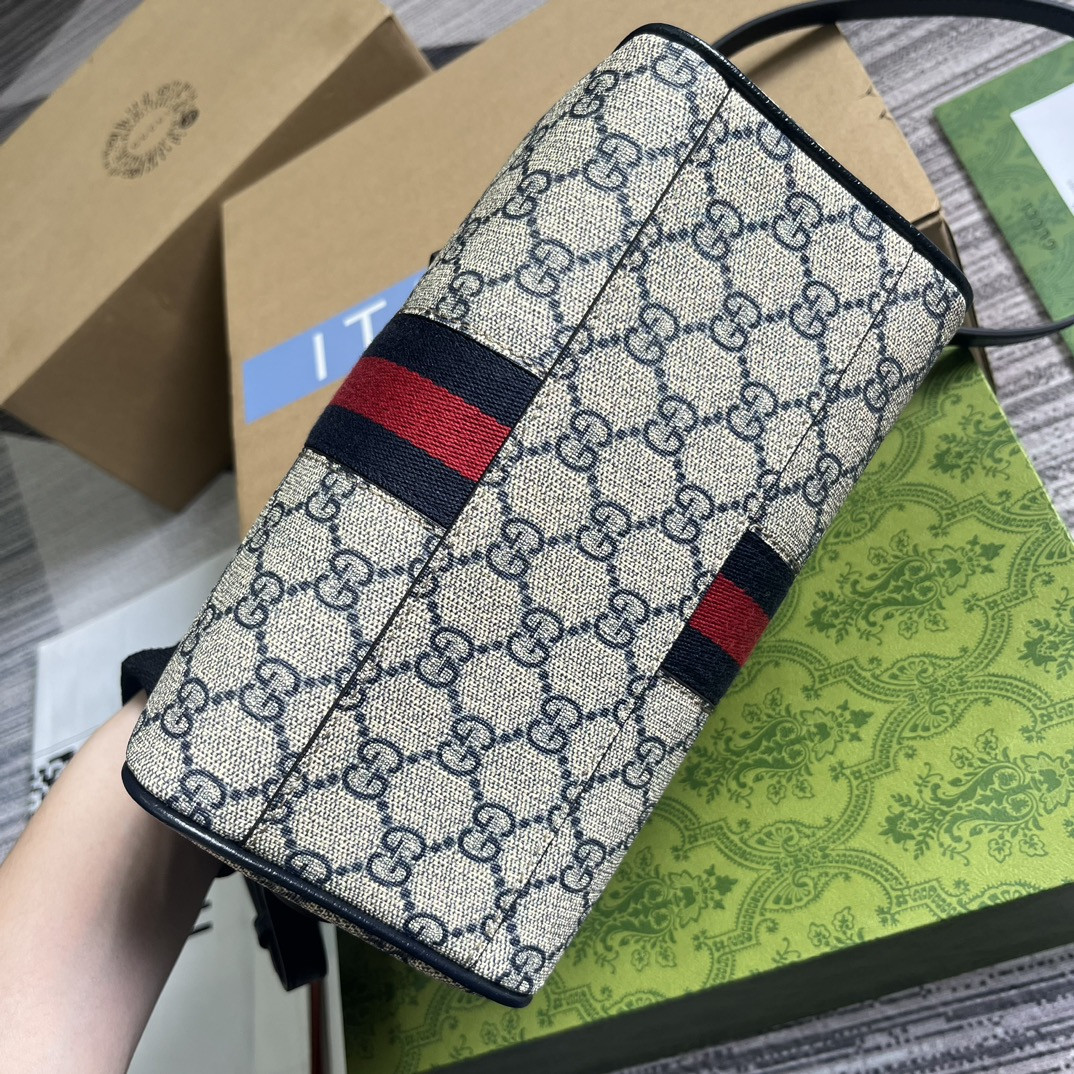 Gvc*1 OPHIDIA S*pER small BAG 14x21.5x11.5cm
