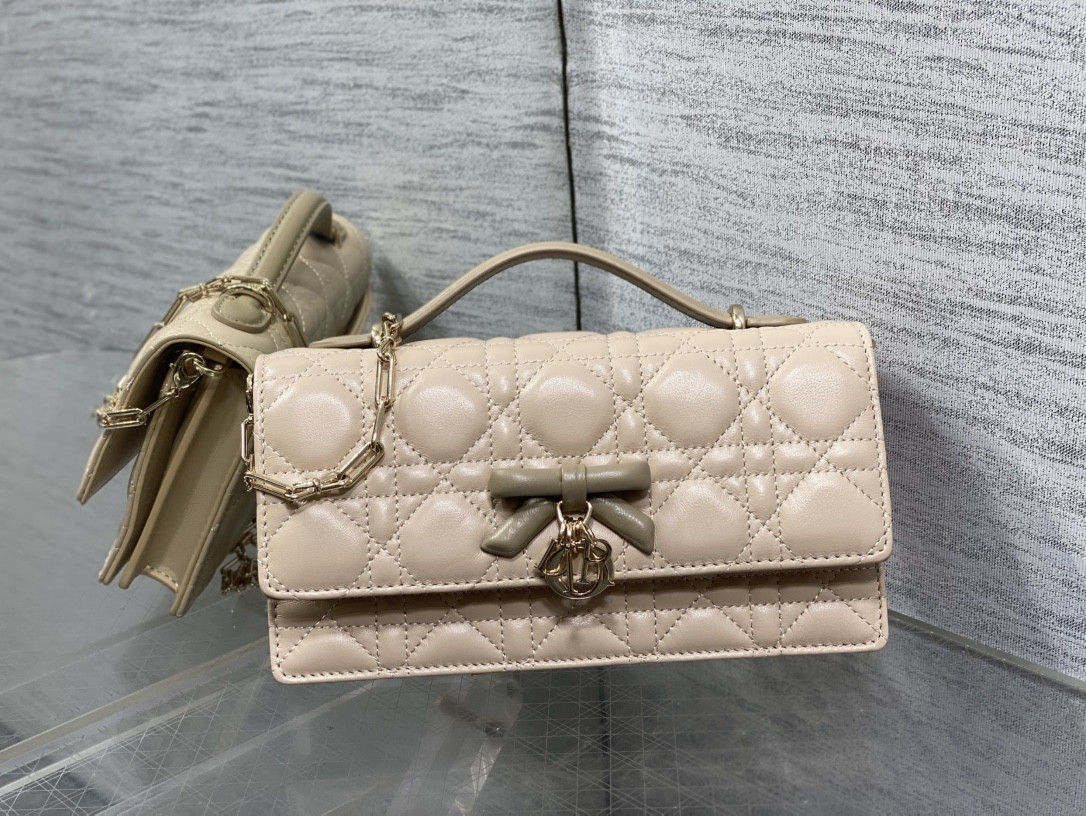 my D10r mini bag 21x11.5x4.5cm