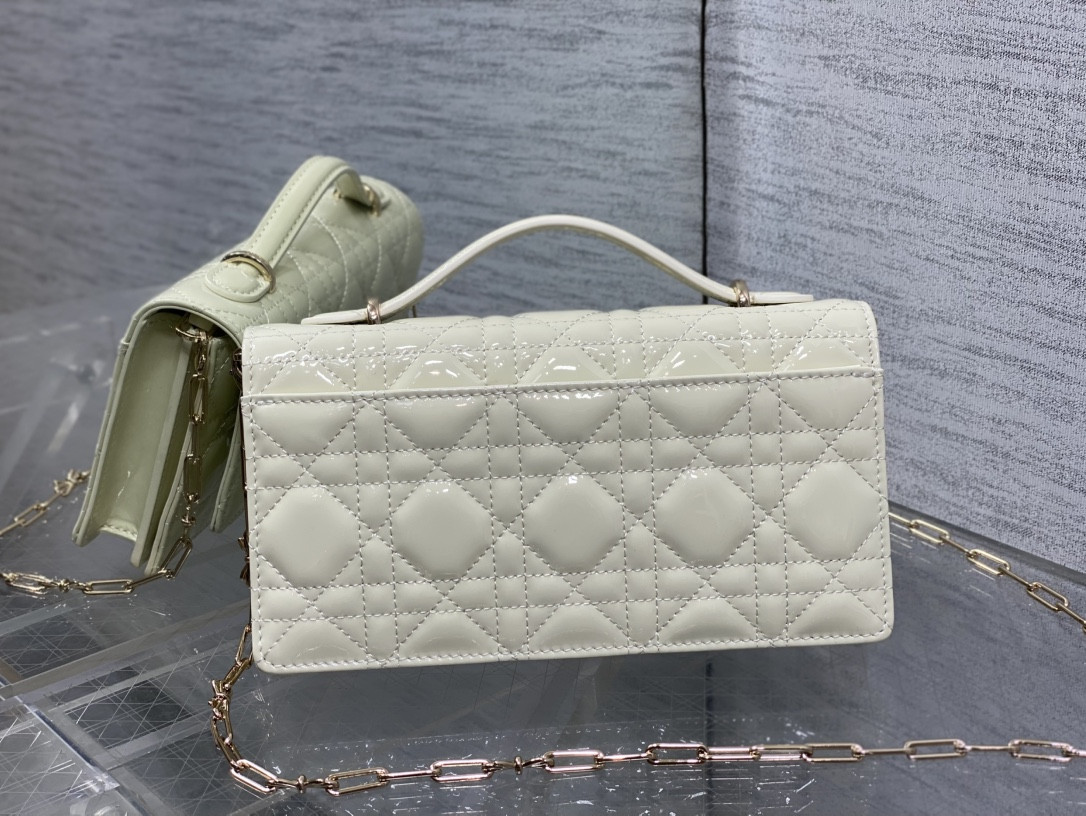 my D10r mini bag 21x11.5x4.5cm