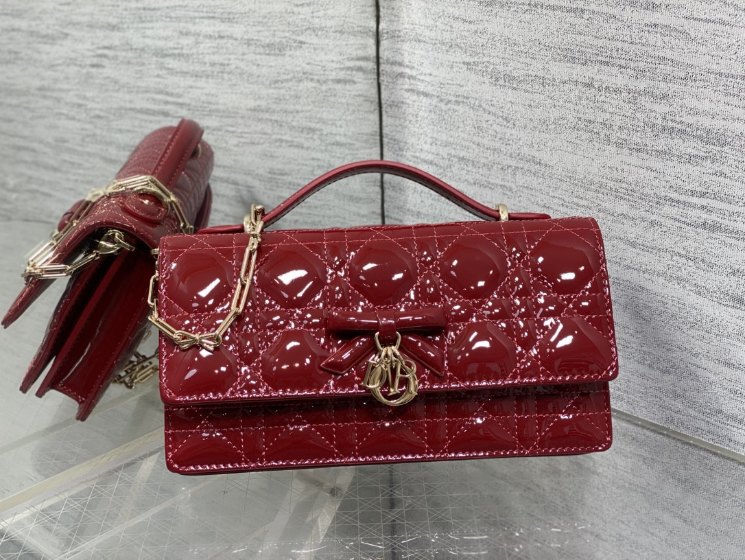 my D10r mini bag 21x11.5x4.5cm