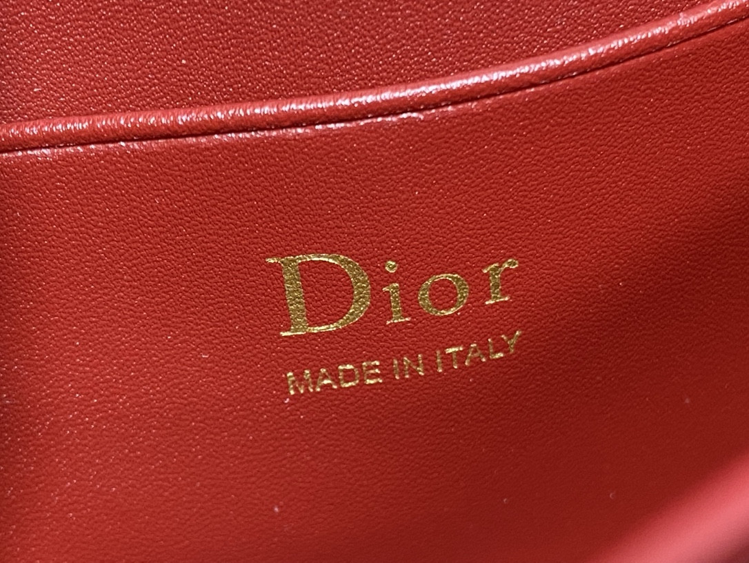 my D10r mini bag 21x11.5x4.5cm