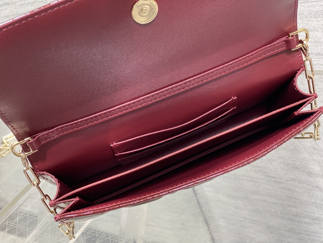 my D10r mini bag 21x11.5x4.5cm