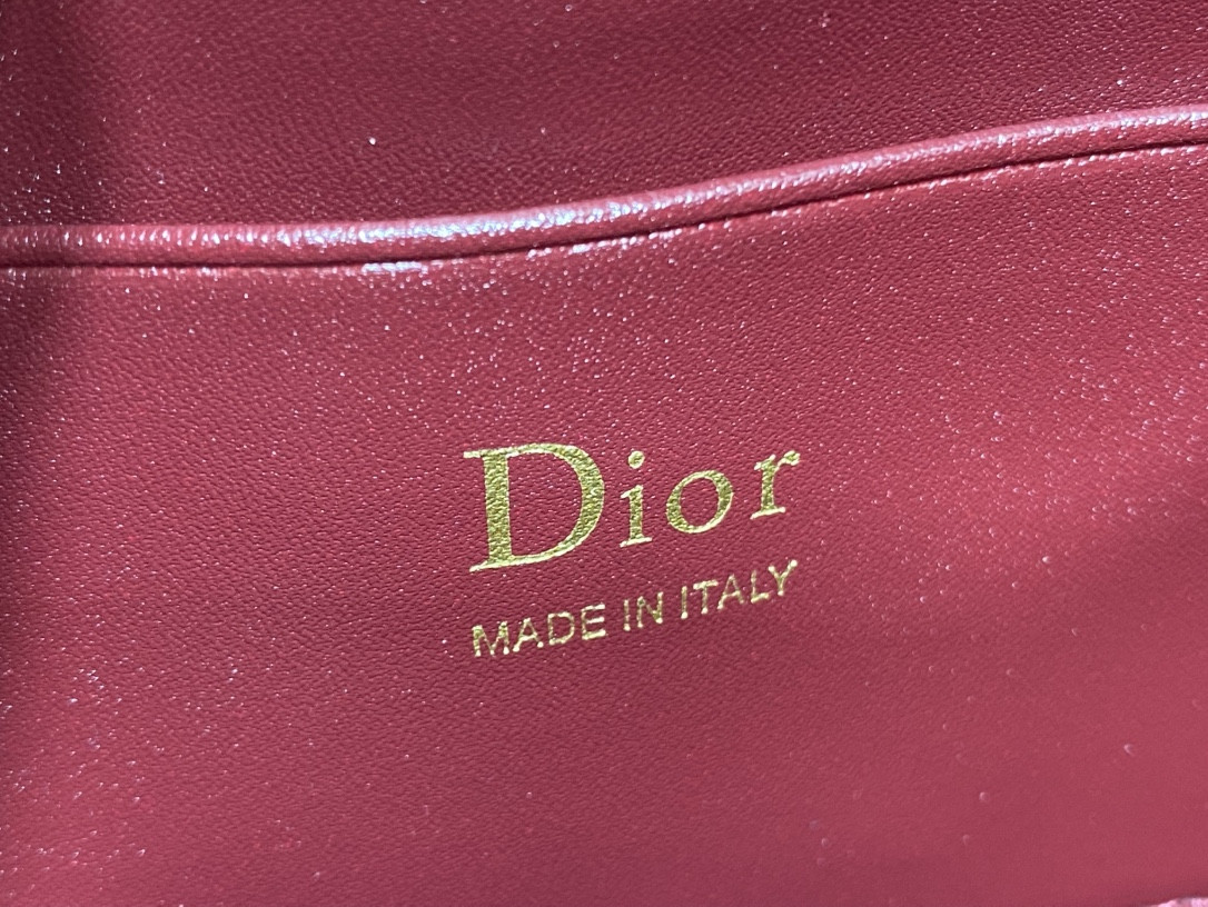 my D10r mini bag 21x11.5x4.5cm