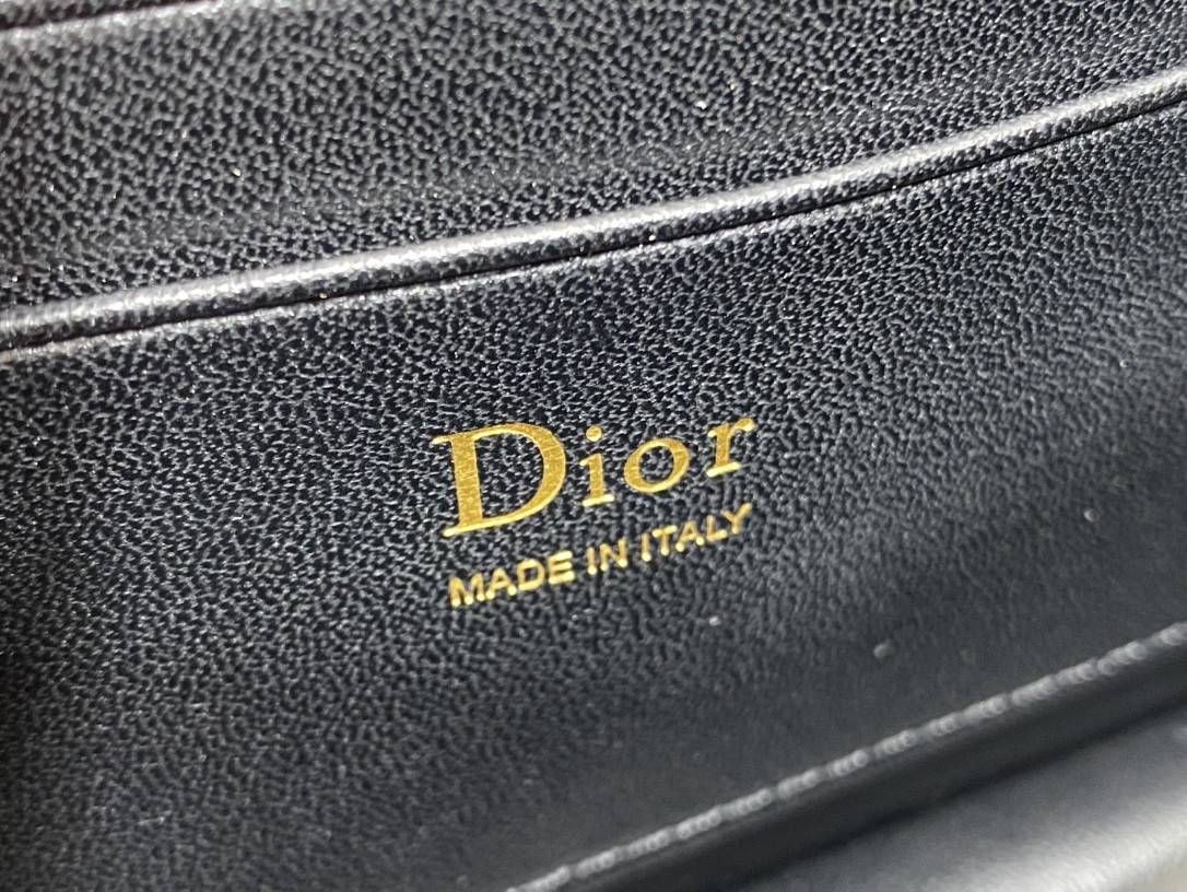 my D10r mini bag 21x11.5x4.5cm