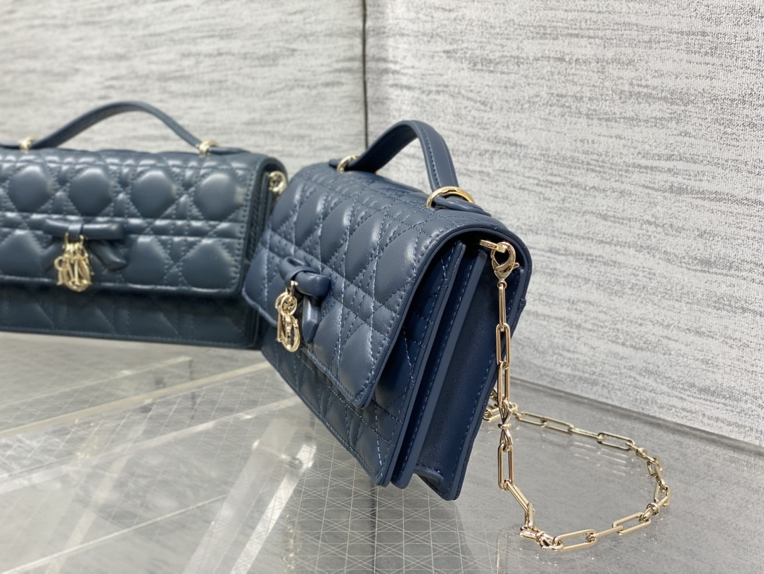 my D10r mini bag 21x11.5x4.5cm