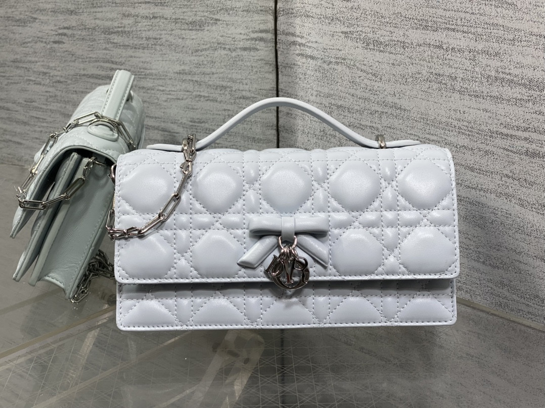 my D10r mini bag 21x11.5x4.5cm