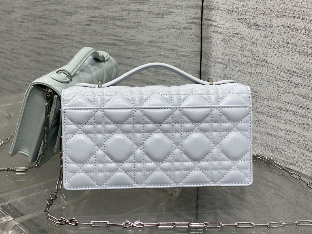 my D10r mini bag 21x11.5x4.5cm