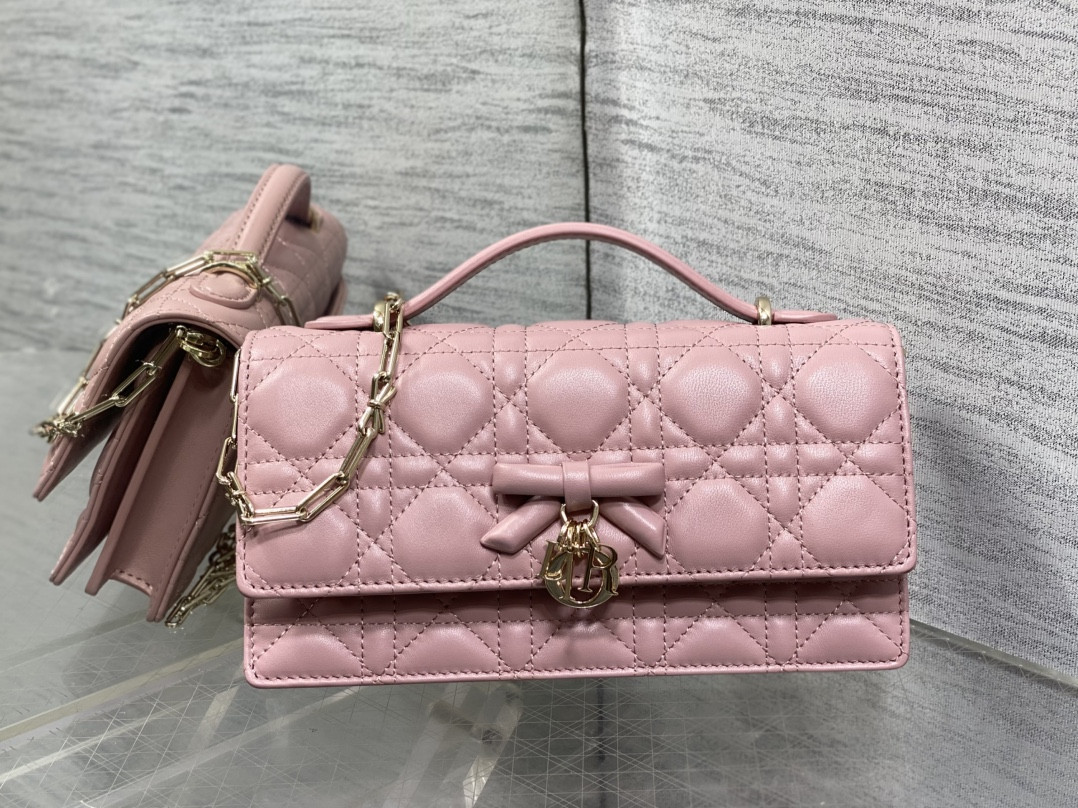 my D10r mini bag 21x11.5x4.5cm