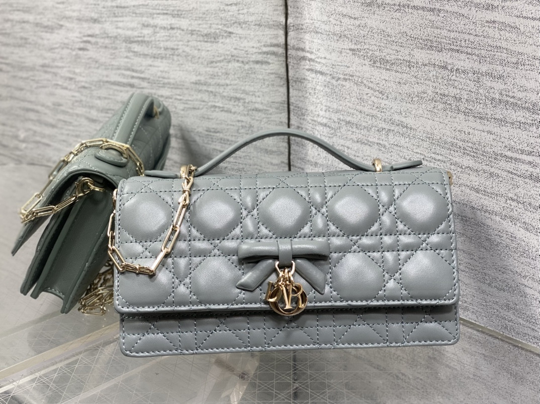 my D10r mini bag 21x11.5x4.5cm