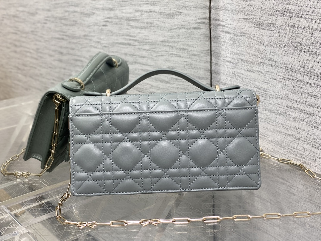 my D10r mini bag 21x11.5x4.5cm