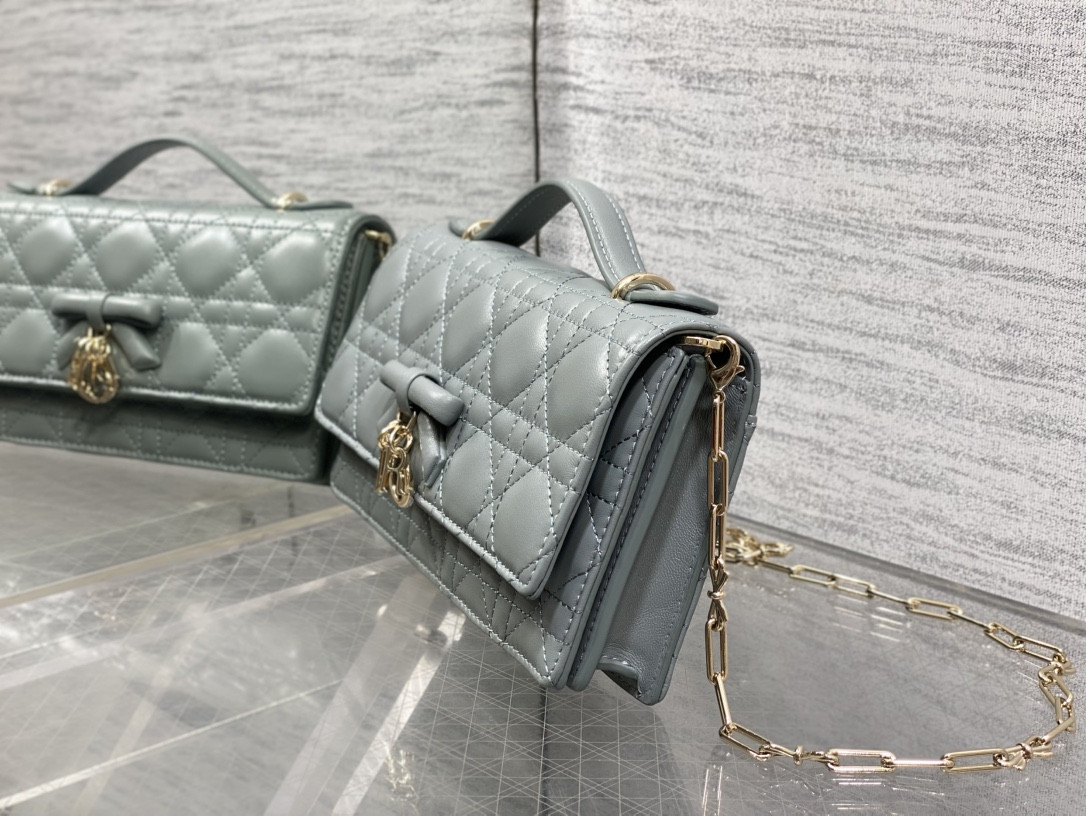 my D10r mini bag 21x11.5x4.5cm